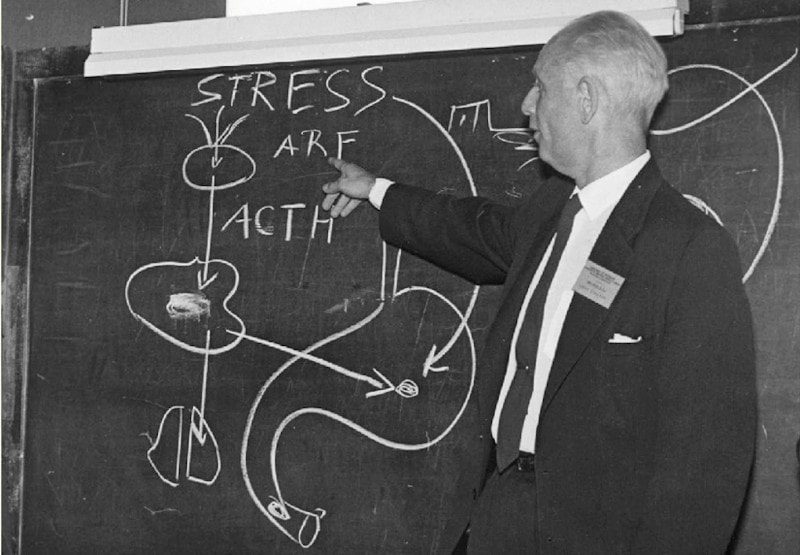 Hans Selye y el eje del estrés
