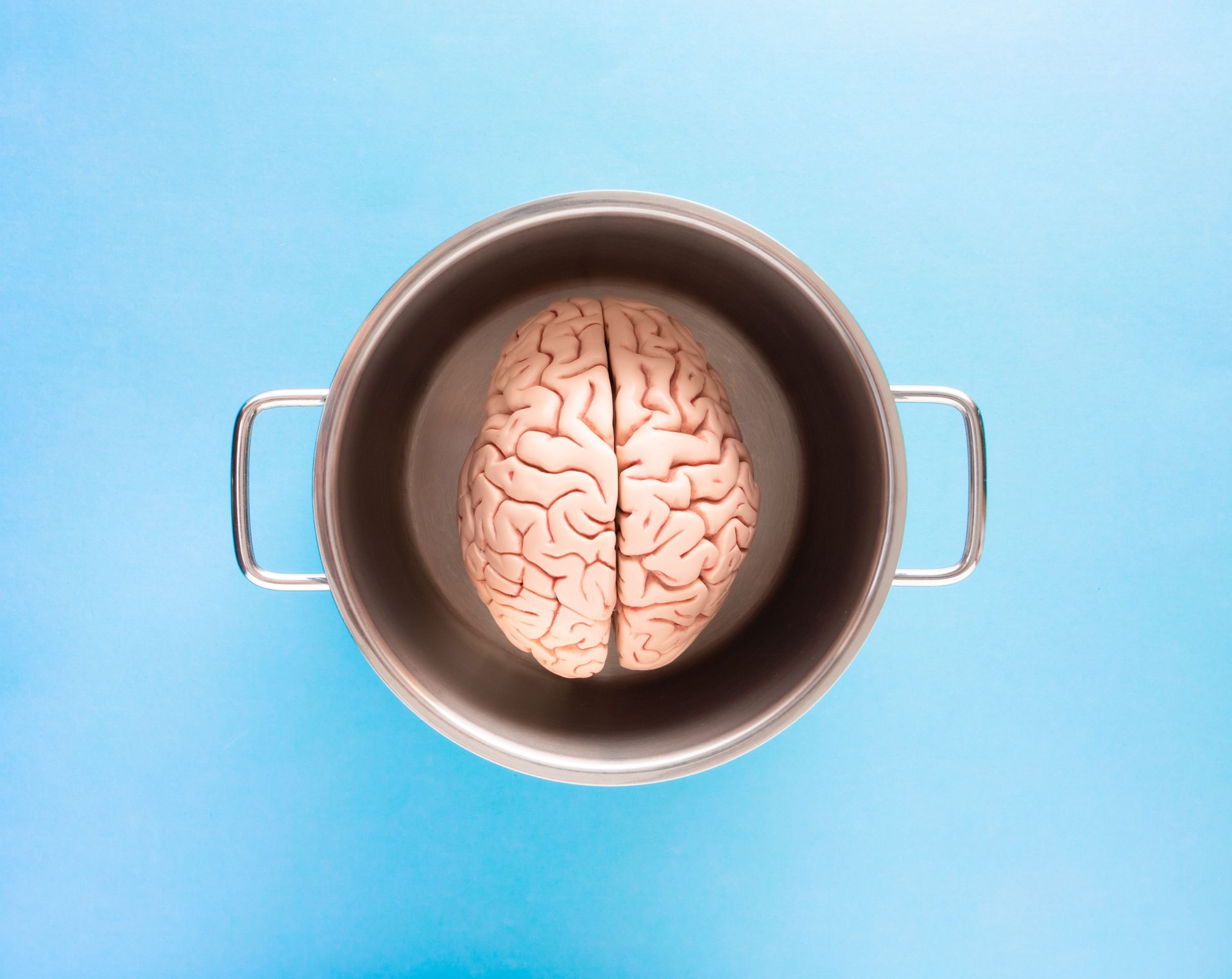 Fases del estrés y eje intestino cerebro
